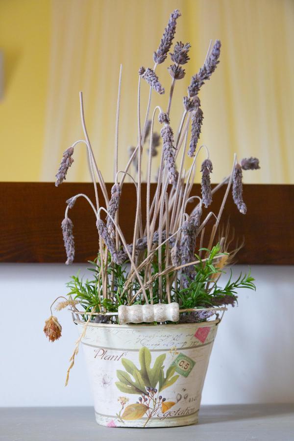 Hospederia Virgen De La Fuente Hotel Peñarroya de Tastavins Zewnętrze zdjęcie